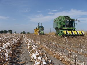 Farm Insurance Fannin County Texas